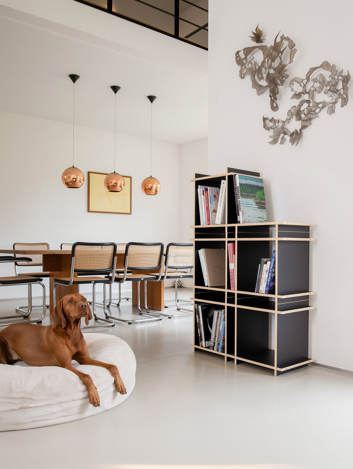 Schwarzes, hohes Regal in einer sehr modernen Loft Wohnung. Ein Hund liegt im Vordergrund des Bildes. 