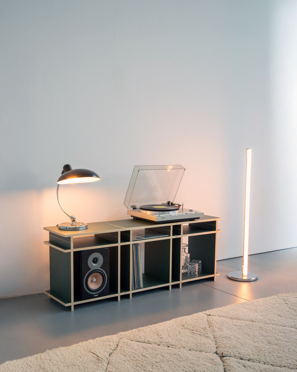 Dünkel-Grünes Schallplattenregal, modern eingerichtet mit einem Teppich direkt davor. 